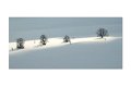Winter A 01